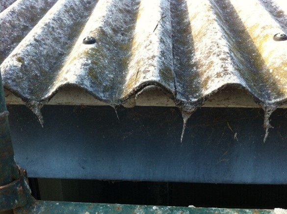 Asbestos Roof Removal 1
