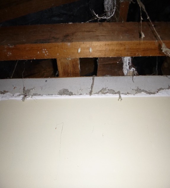 Loose Fill Asbestos Insulation (Friable Asbestos)